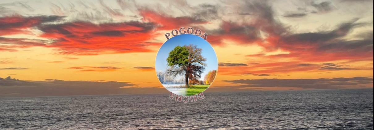 4a3b24fc ea6b 47d9 9396 0c90efcfd58f