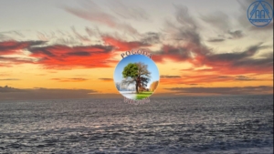 4a3b24fc ea6b 47d9 9396 0c90efcfd58f