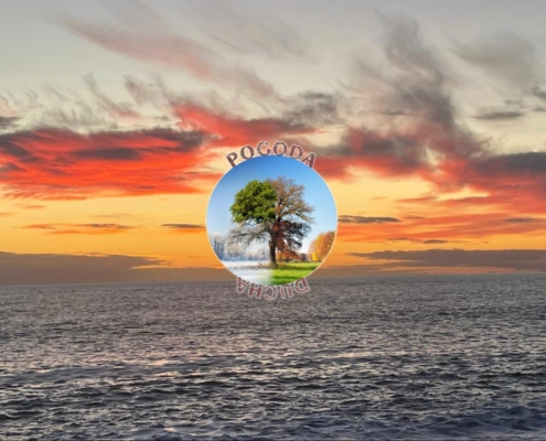 4a3b24fc ea6b 47d9 9396 0c90efcfd58f